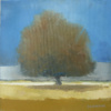 The Meadow Of The Oak 010.511 Pay 40X40