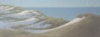 Ts 1 Des Dunes, Panorama, 50X150Cm