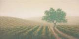 Arbre dans les vignes, 60x120cm