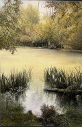 Een stukje eendenpoel, 95x65clm
