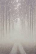 Chemin vers la forêt, 91x61cm
