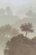 Montagnes, brouillard, 195x130cm