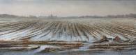 't Stoppelveld II, 70x100cm